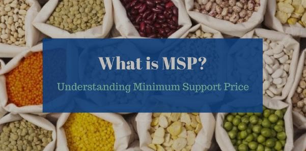 What is MSP?