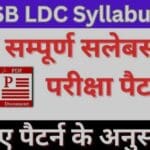 RSMSSB LDC Syllabus