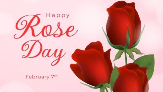 Rose Day