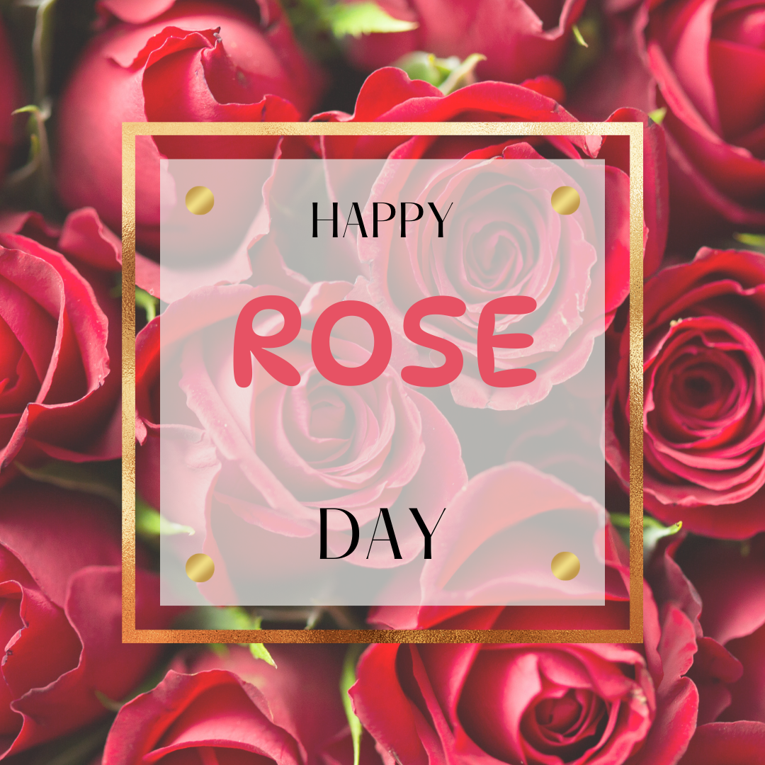 happy rose day 