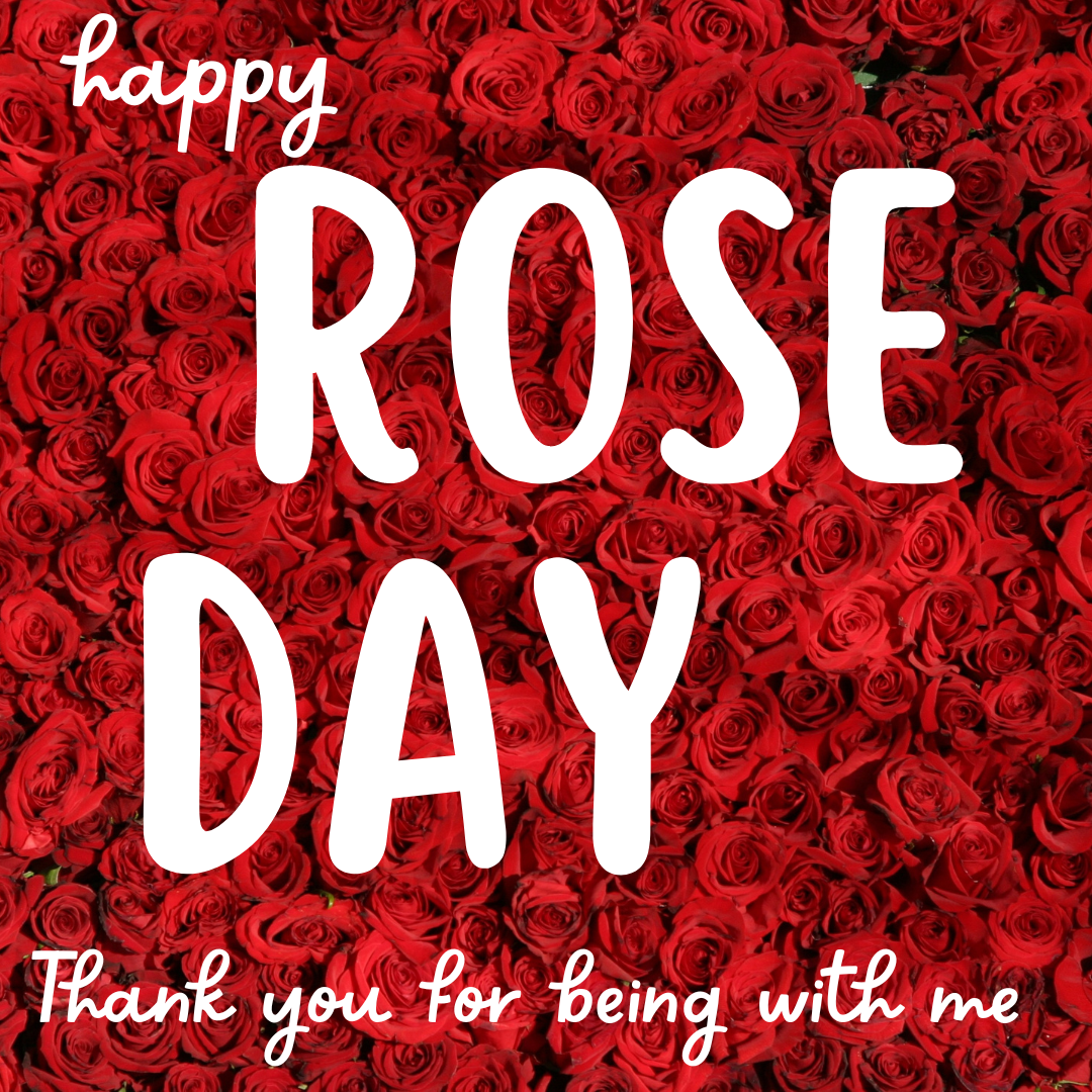 happy rose day 