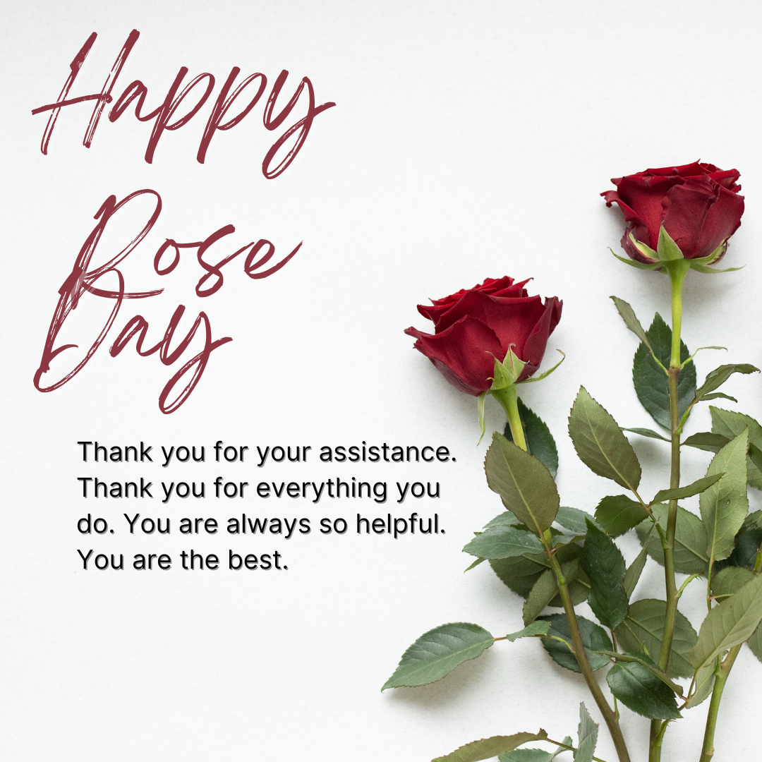 happy rose day 