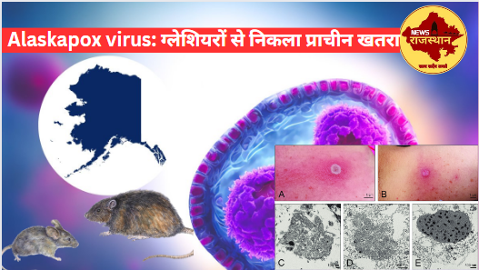 Alaskapox virus: ग्लेशियरों से निकला प्राचीन खतरा, खोज और उत्पत्ति, लक्षण