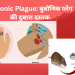 Bubonic Plague: बुबोनिक प्लेग की दुबारा दस्तक