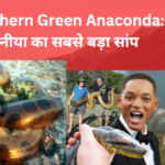 Northern Green Anaconda: दुनीया का सबसे बड़ा सांप