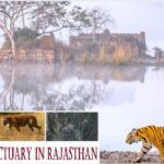 Top wildlife sanctuaries