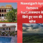 Nawalgarh kyo famous hai?