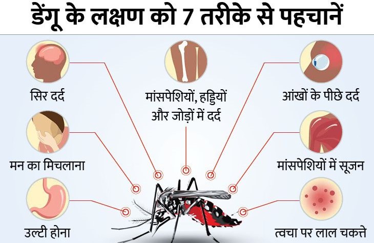 Dengue Symptoms